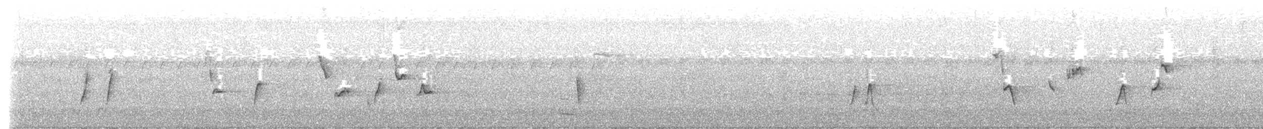 Riverside Wren - ML642974747