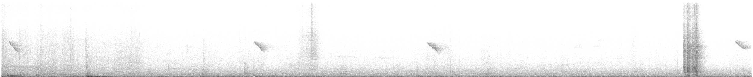 Iberian Chiffchaff - ML642975815