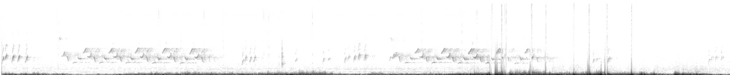 Carolina Wren - ML642975903