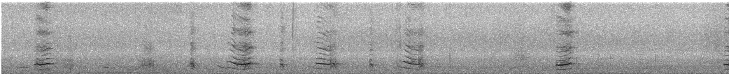 Медівник рогодзьобий - ML642979325