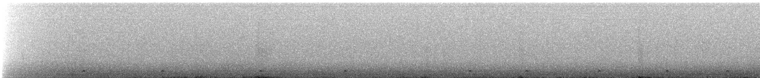 gnomugle (gnoma) - ML642979737