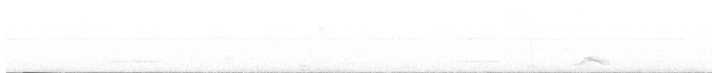 Pauraquenachtschwalbe - ML642980362