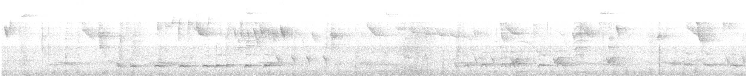 Wing-barred Piprites - ML642981877