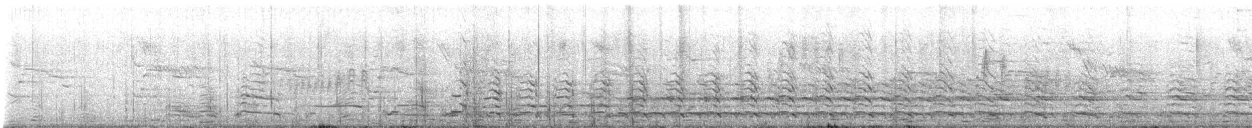 racek sp. - ML642982923