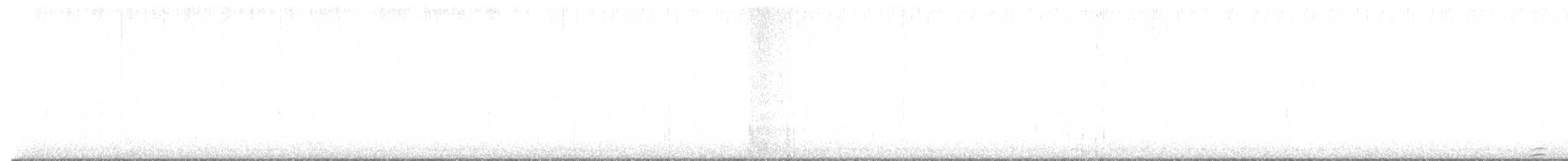 konipas bílý (ssp. yarrellii) - ML642982987