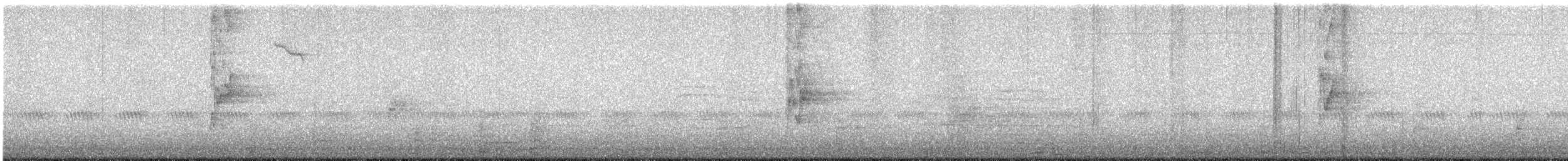 pták sp. - ML642983447
