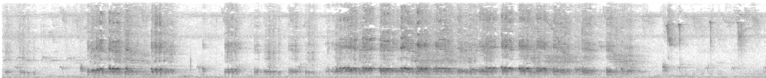 Greater Ani - ML642983580