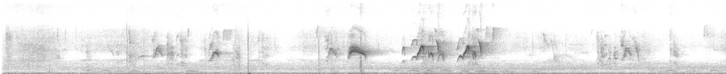 Couch's Kingbird - ML642983666