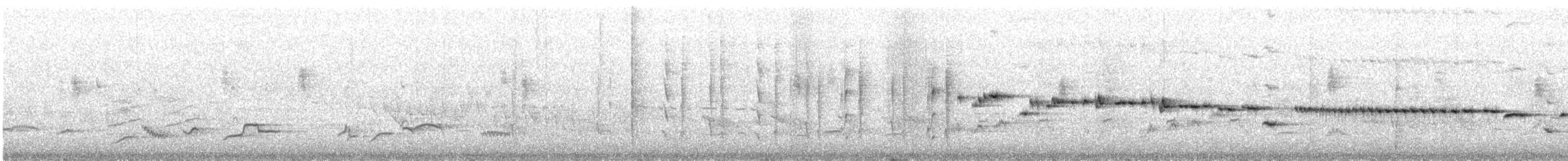 Gray Gerygone - ML642986148