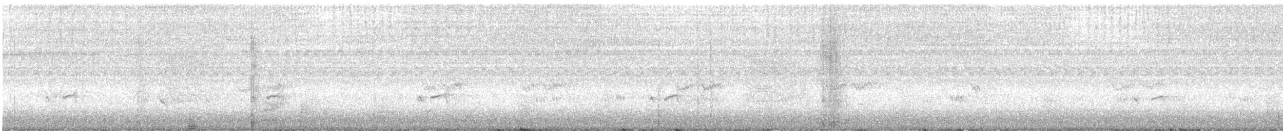 Semipalmated Plover - ML642986287
