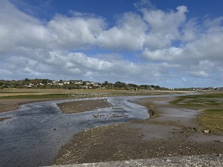 Hayle Estuary RSPB Reserve--Lelant Water, Cornwall, England, United ...