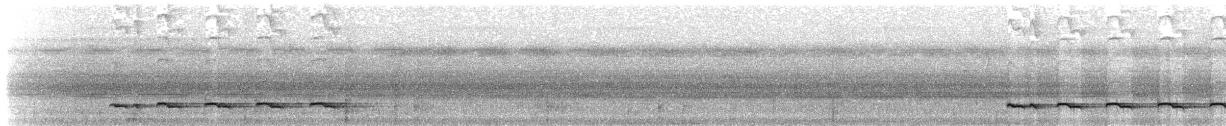カタジロアリドリ - ML642986925
