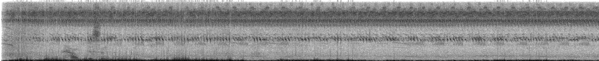 Inca Dove - ML642990628