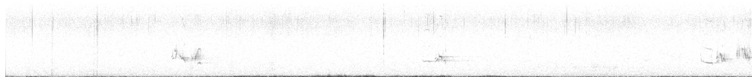 Townsend's Solitaire - ML642991042