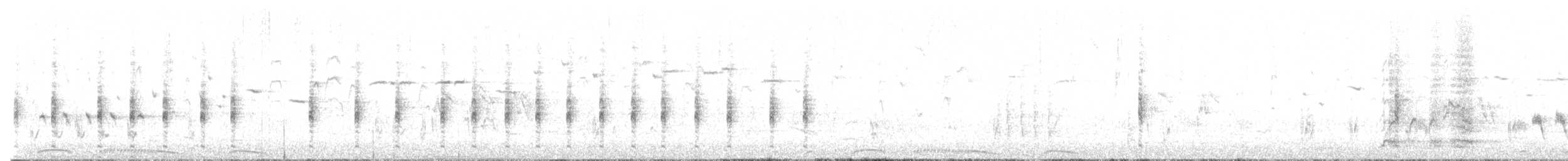 Lewin's Rail - ML642992595