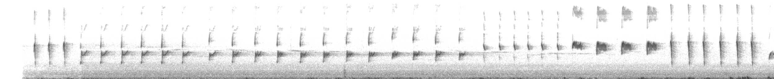 South Island Robin - ML642994234
