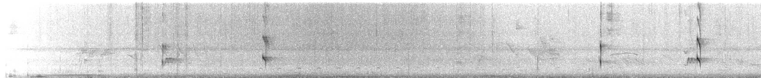 Pearly-vented Tody-Tyrant - ML642995011