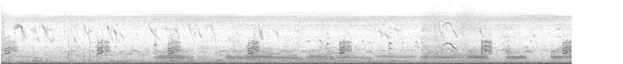 Zankaluze arrunta - ML642996268