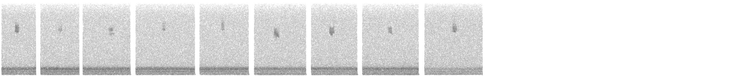 new world warbler sp. - ML642997344