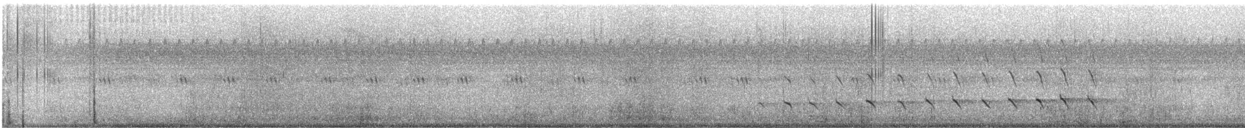 ミサゴ - ML642997567
