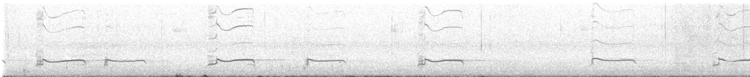 Black-bellied Plover - ML642997623