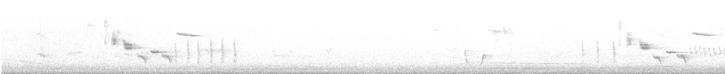 Brown Thornbill - ML642998050