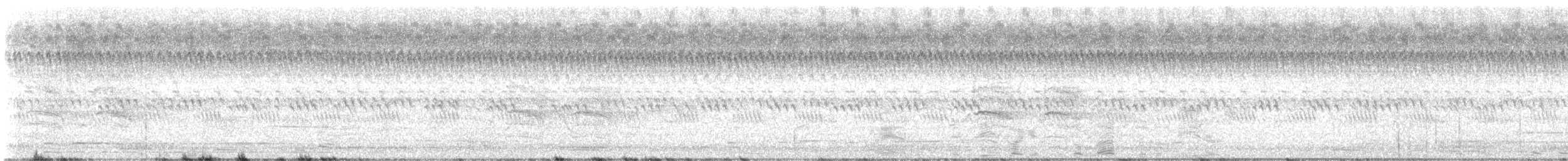 Inca Dove - ML642998243