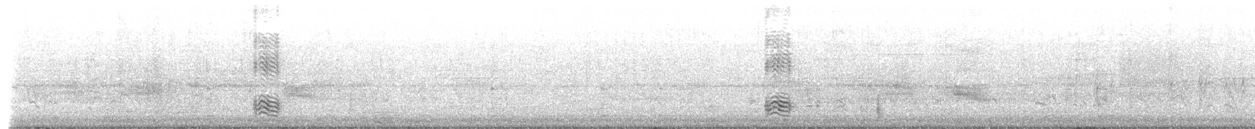 Quiscale des marais - ML642998704