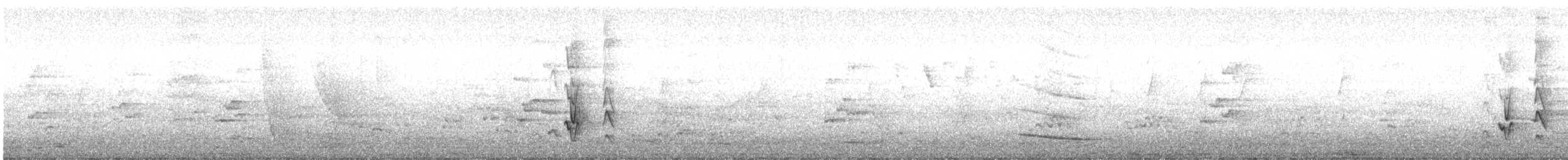 Pale-headed Rosella - ML643000483