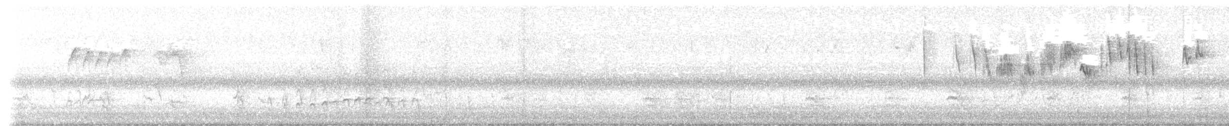 Очковая древесница - ML643002796