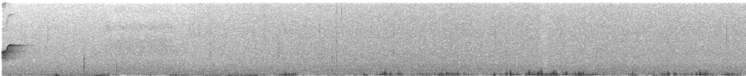 Pycnoptile compagnon - ML643002854