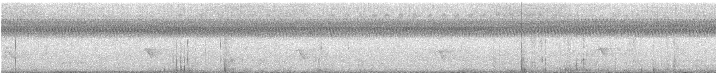 Gray-cheeked Thrush - ML643002855