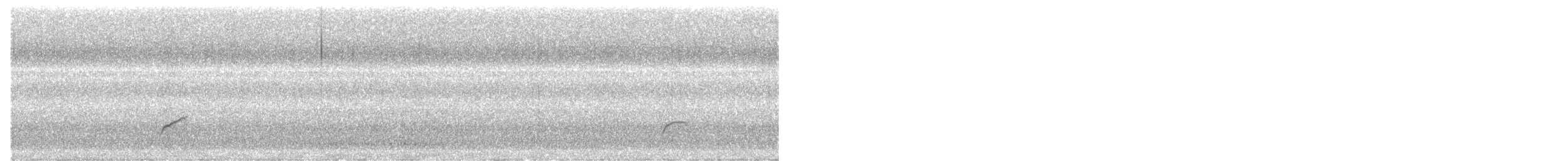 Swainson's Thrush - ML643004087