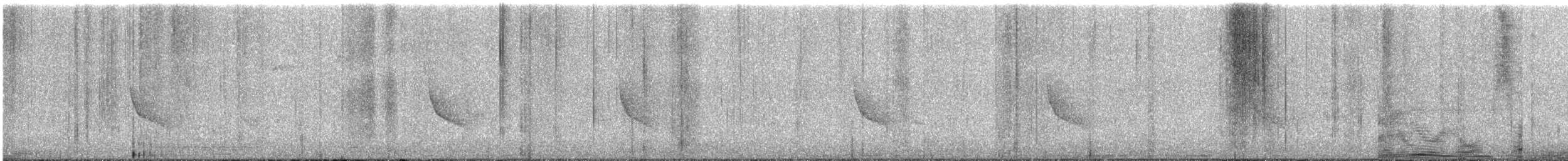 eikevireo - ML643004582
