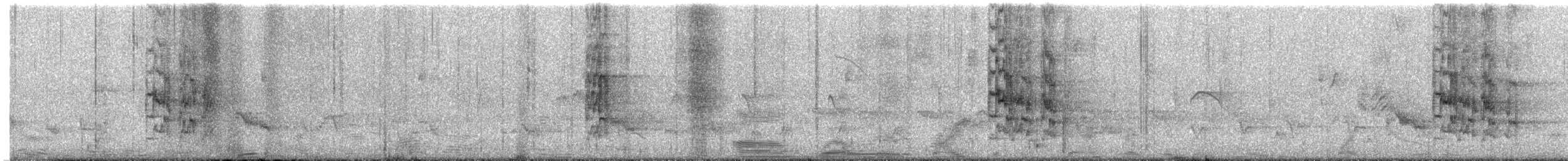 chiririparakitt - ML643005268
