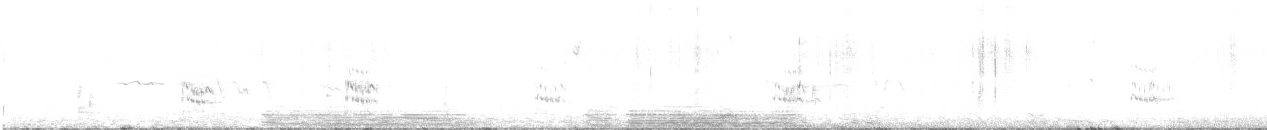 Sterne élégante - ML643005862