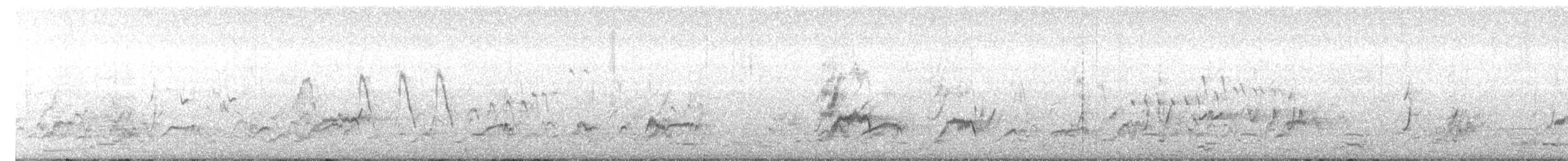 雞尾鸚鵡 - ML643005890