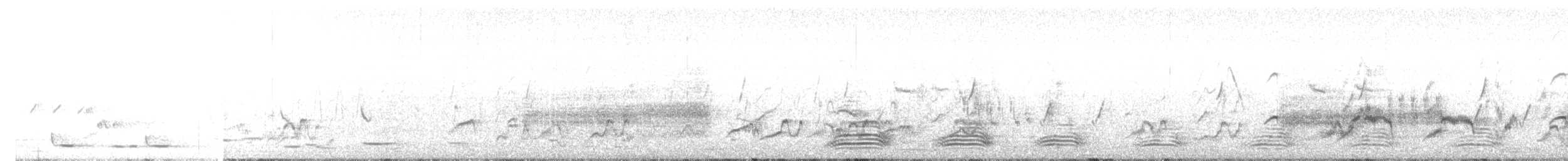 雞尾鸚鵡 - ML643005891