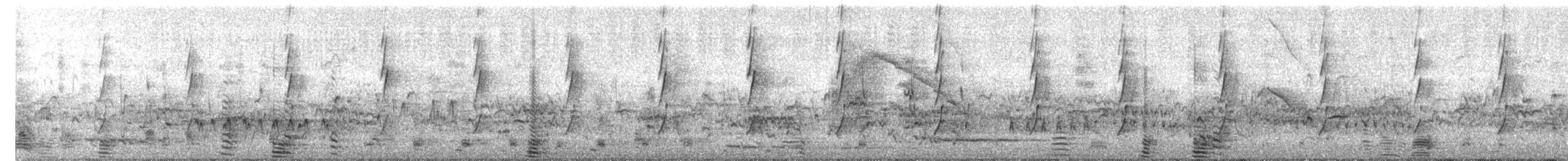 Canaroie semipalmée - ML643006459