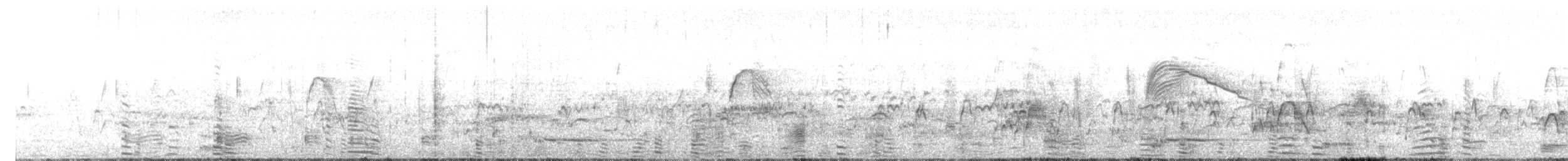 Canaroie semipalmée - ML643006460