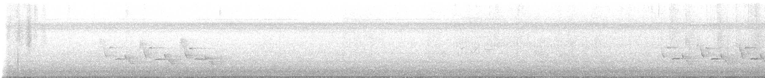 チャバラマユミソサザイ - ML643007090