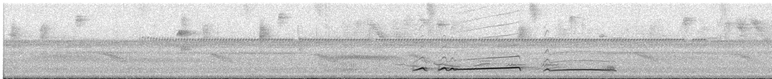 Лінивка-смугохвіст західна - ML64300721