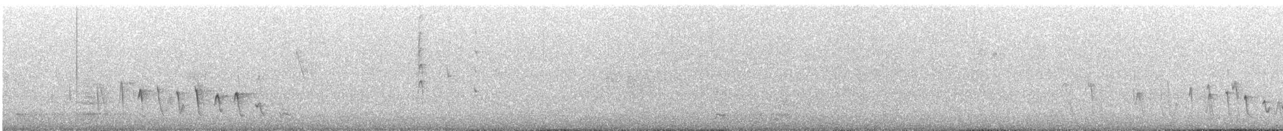 Méliphage à joues d'or - ML643008795