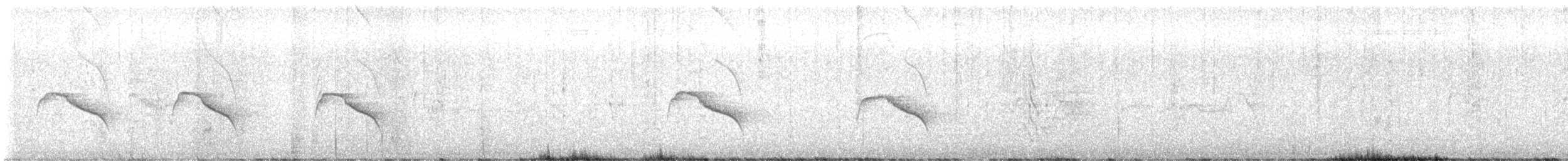 Stripe-backed Antbird - ML643008946