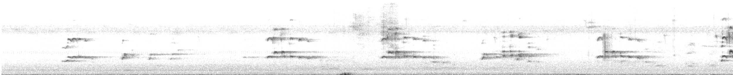 hvithodehavørn - ML643009189