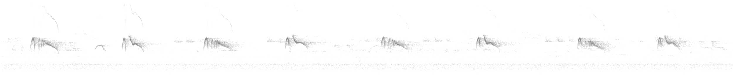 Black Phoebe (Northern) - ML643009313