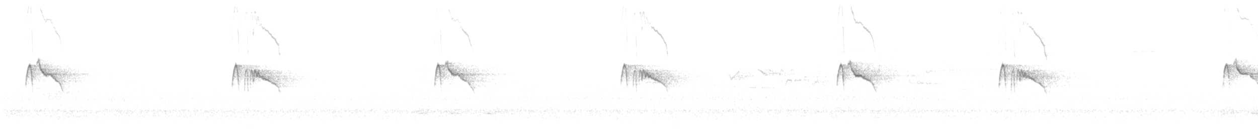 Black Phoebe (Northern) - ML643009322