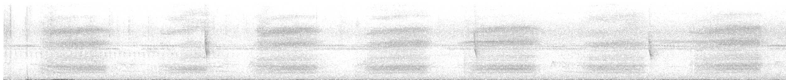 フイリコチュウハシ - ML643010222