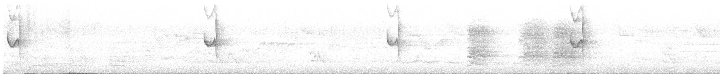 Gray-bellied Spinetail - ML643010404