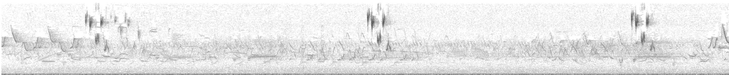 Henslow's Sparrow - ML643011357